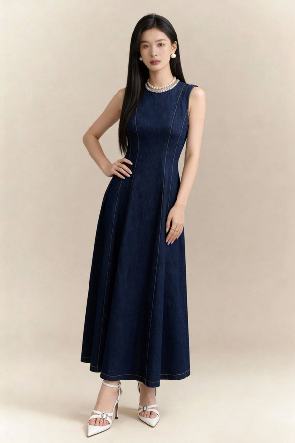 Isolde Sleeveless Denim Maxi Dress